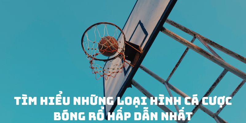 Tìm hiểu những loại hình cá cược bóng rổ hấp dẫn nhất