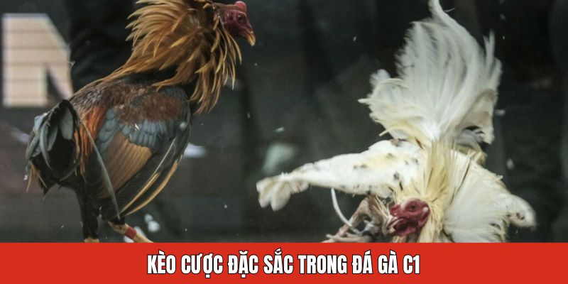 Kèo cược đặc sắc trong đá gà C1