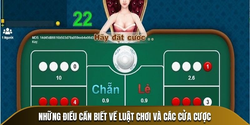 Những điều cần biết về luật chơi và các cửa cược 