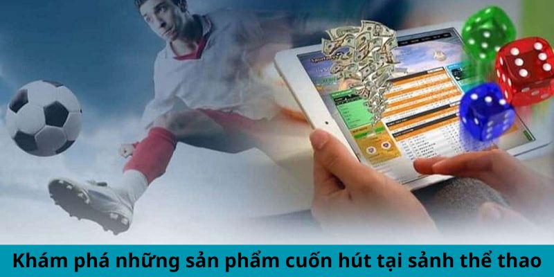 Khám phá những bộ môn cuốn hút tại sảnh thể thao