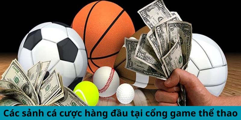 Các sảnh cá cược hàng đầu tại cổng game thể thao