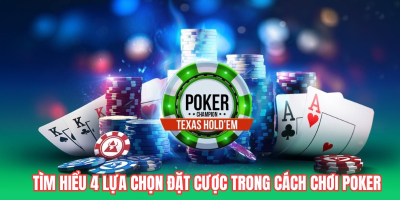 Tìm hiểu 4 lựa chọn đặt cược trong cách chơi Poker